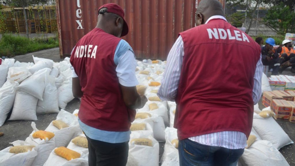 NDLEA intercepts 2412.39kg ban substances in Oyo state