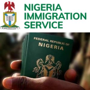 Border Reopening: We've complied with Buhari's directive – Immigration Service