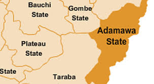 Drama As Commissioner Announces Adamawa Election Result