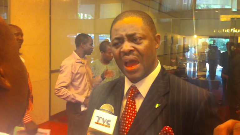 Amotekun: Fani-Kayode explodes as Miyetti Allah tells Buhari to arrest Yoruba leaders immediately