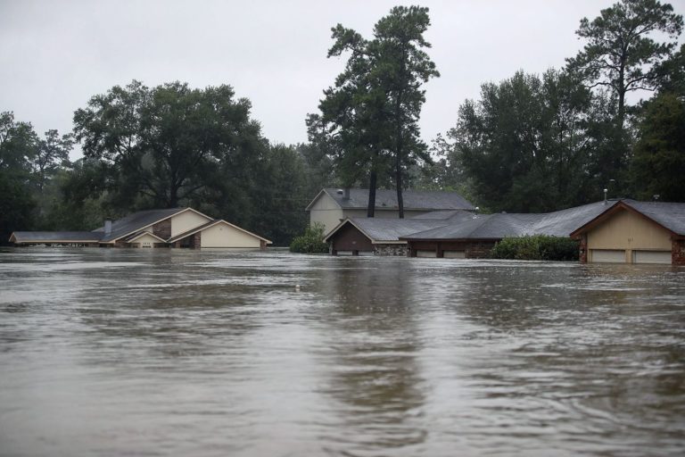 Flooding: Govt assure farmers on dry season farming