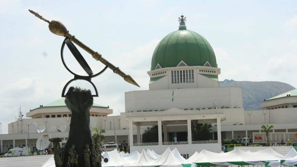 NASS Election: Group Advocates For Women Equality