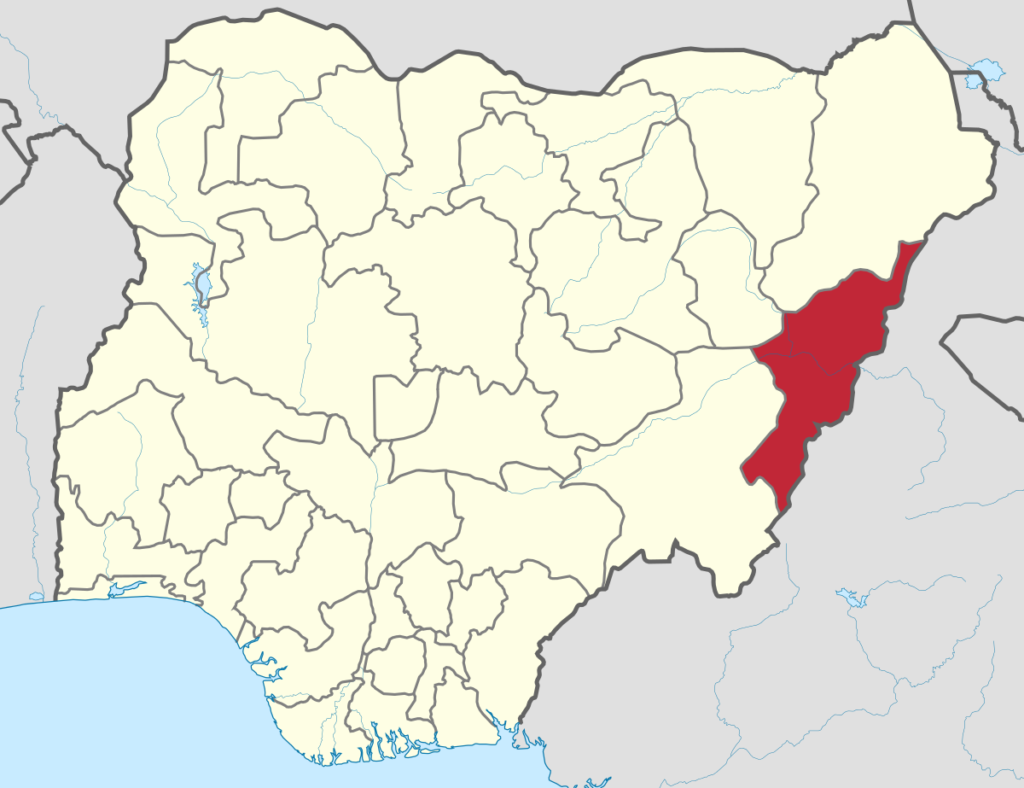 Adamawa disengages ‘irregularly’ employed workers