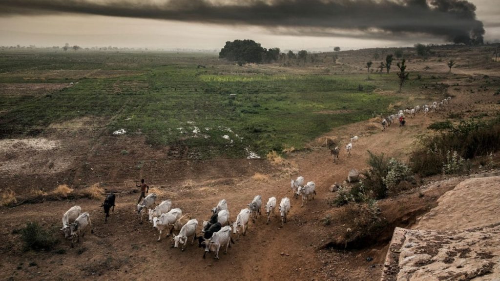 Three herdsmen docked for unlawful destruction of rice farm in Ekiti