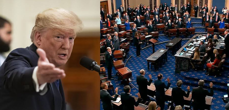 US senators play video games, sleep during Trump impeachment hearing