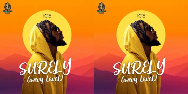 Ice – Surely (Wavy Level) [Official Video]