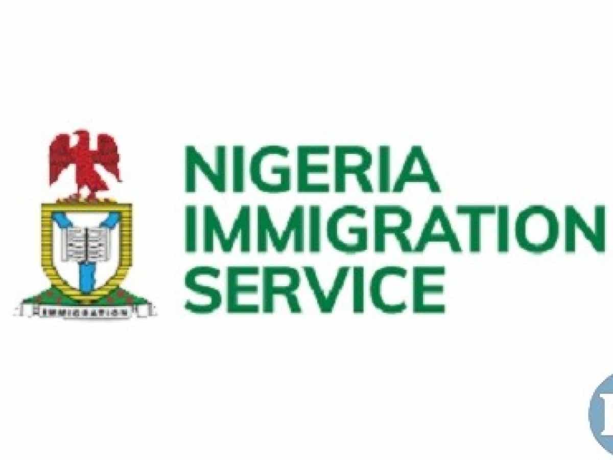 100 Nigerians lost their lives to illegal migration in 2020 – Group