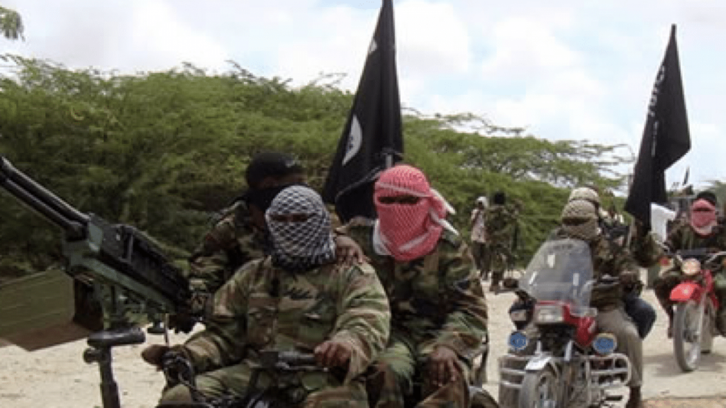 Boko Haram: Borno village, Ngulde under attack