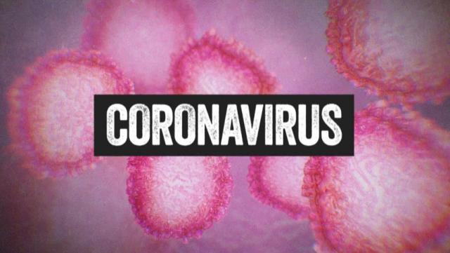 Image result for Coronavirus: No Threat of Coronavirus in Nigeria.... FG