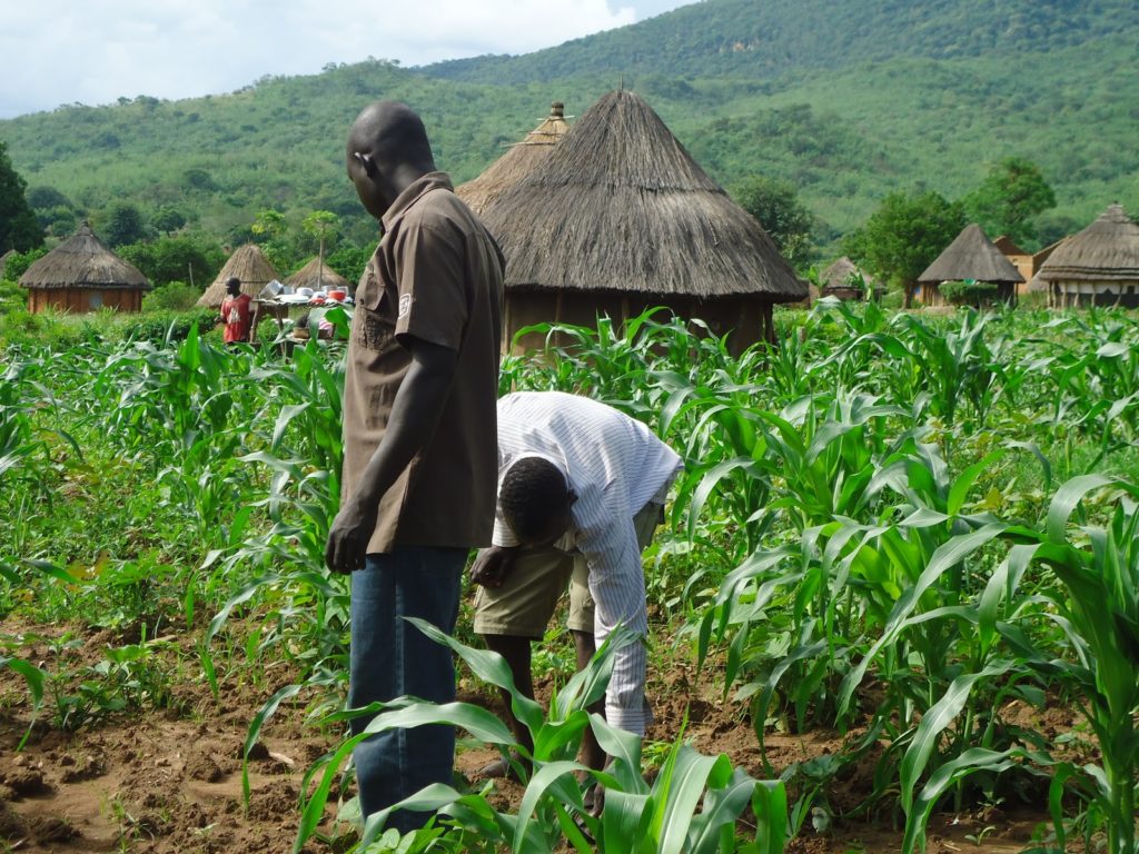 Fertiliser: Govt seeks FG’s waiver, urges farmers to be patient