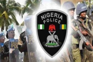 Image result for Nigeria Police Force establishes National Institute for Police Studies