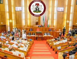 Electricity: Senate Begins Hearing On Tariff Hike Probe