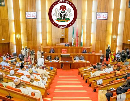 Insecurity: Senate moves to establish Commission against illegal use of guns