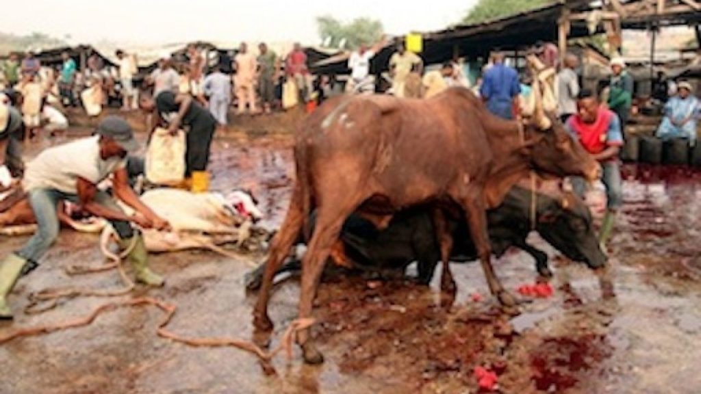 Coronavirus: LASG okays biosecurity measures at abattoirs, slaughter houses