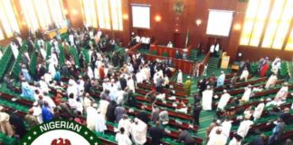 Revealed! Reps’ Bill seeks to exclude NIMASA, FAAN, NCAA from revenue remittances. Death of doctor in LUTH