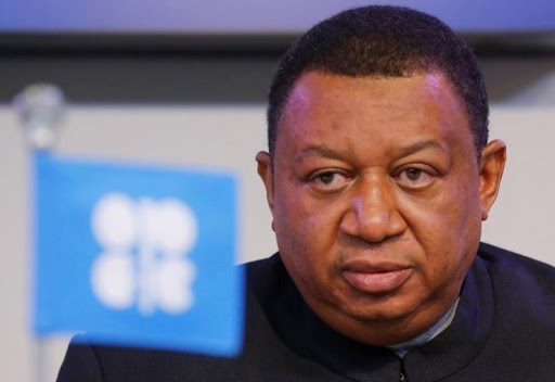 OPEC member countries lost $1trn to oil price plunge in two years, says Sec. Gen