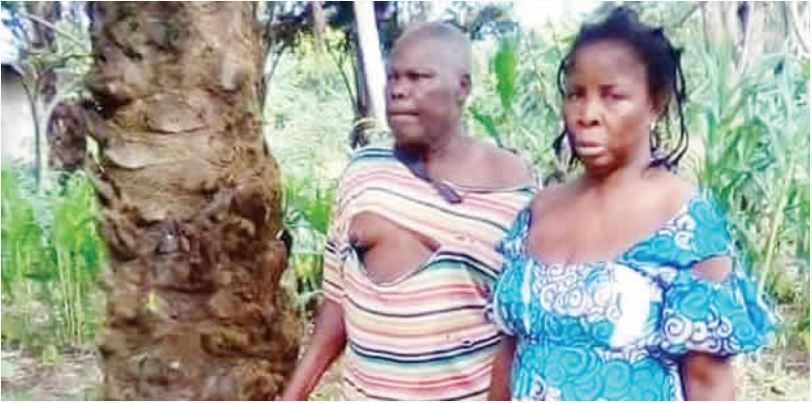 Father, mother dehumanised by son over land in Delta