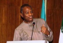 What I did to defeat COVID-19 — Foreign Affairs Minister,