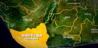 Breaking: Bayelsa joins other states, records first COVID-19 case