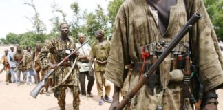 Govt to enlist hunters in fight against Boko Haram - Daily Post ...