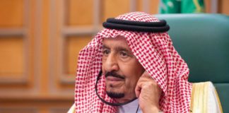 Climate Change: Saudi Arabia to plant 50bn trees - Embassy