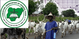 Leave our area in peace, we don't want trouble — CAN tells herdsmen