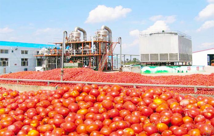 N20bn tomato processing factory in Kebbi completed - GBfoods