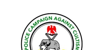 Cultism: 68 youths renounce membership, drop arms in Rivers