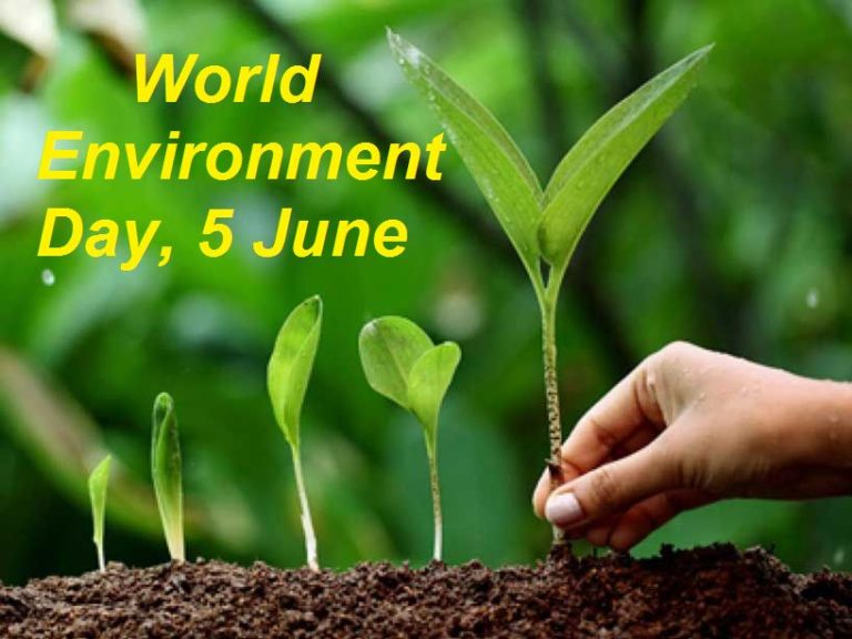 WED: SEJA urges FG to correct environmental injustices in Nigeria