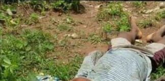 Another 5-year-old boy, Mojeeb Tirrimisiyu murdered in Ibadan