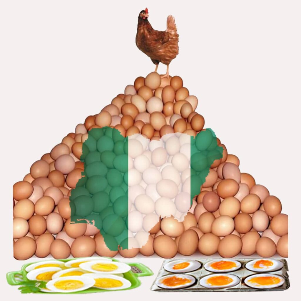 Nigerian Egg Farming, Benefits – Nutritional And Financial Benefits