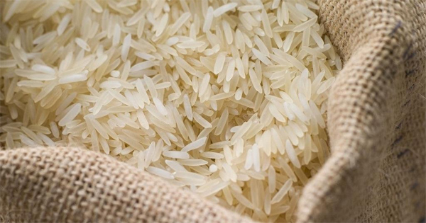 FG’s intervention in agric. attracts investments in rice production – Miller