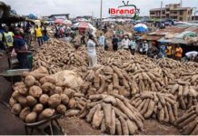 We spend N.5m to transport a truck-load of yams to Enugu –  Trader