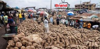 We spend N.5m to transport a truck-load of yams to Enugu –  Trader
