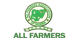 AFAN condemns kidnap of 40 Zamfara farmers, calls for bulldozing of forest
