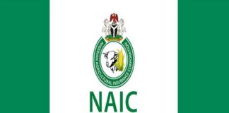 NAIC news