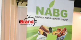 Agencies need to synergize on regulating agric commodities - Ijewere