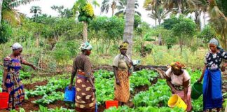 Women Farmers: Utilising sustainable practices to enhance productivity of smallholder