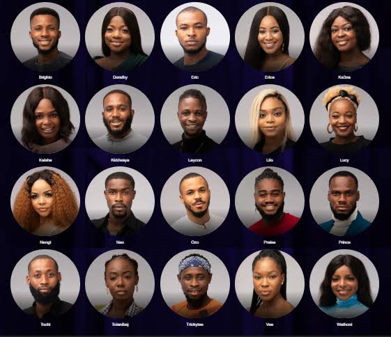 BBNaija audience hits 521.3m, Laycon, Erica among favourites