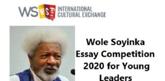 Soyinka essay contest