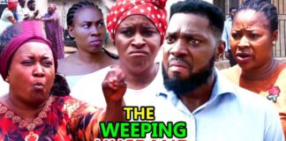 The Weeping Husband (2020)