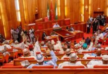 2021 budget: Senate urges agric ministry to focus on job creation for youth