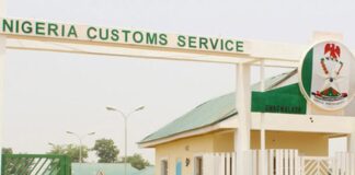 Customs impounds donkey hides, skin, charcoal worth N643.73m