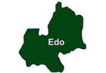 Edo news