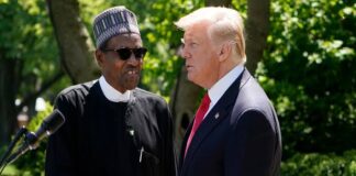 Shocking! Donald Trump congratulates Buhari for banning Twitter in Nigeria