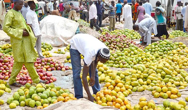 Heatwave: Fruit sellers make brisk business in Nigeria