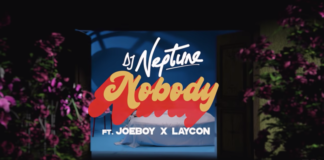 DJ Neptune Laycon Nobody Video
