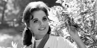 Popular Actress, Dawn Wells, Dies From COVID-19