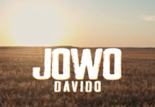 Davido Jowo