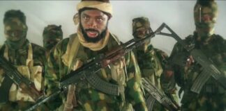 Why We Killed Borno Farmers - Boko Haram